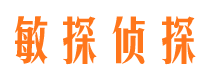 莘县市调查公司